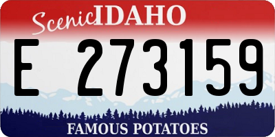 ID license plate E273159