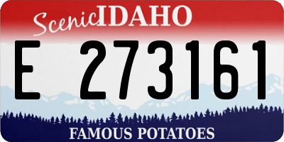 ID license plate E273161