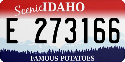 ID license plate E273166