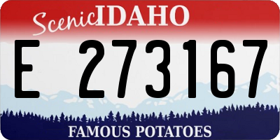 ID license plate E273167