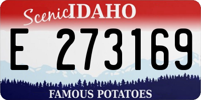 ID license plate E273169