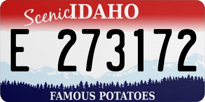 ID license plate E273172