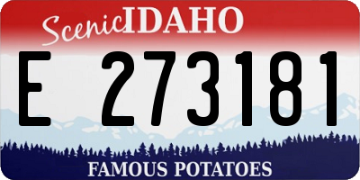 ID license plate E273181