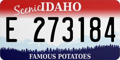 ID license plate E273184