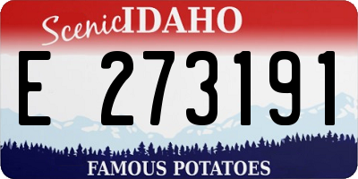 ID license plate E273191