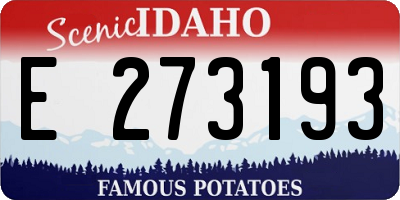 ID license plate E273193