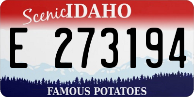 ID license plate E273194