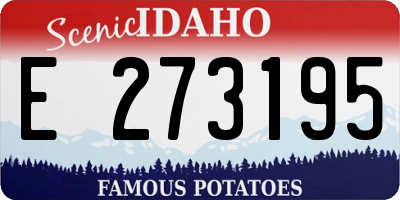 ID license plate E273195