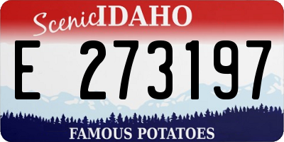 ID license plate E273197