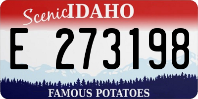 ID license plate E273198