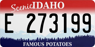 ID license plate E273199
