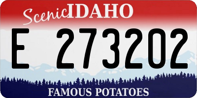 ID license plate E273202