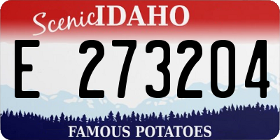 ID license plate E273204