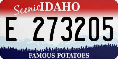 ID license plate E273205