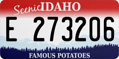 ID license plate E273206