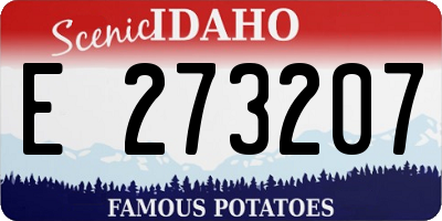 ID license plate E273207