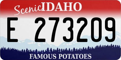 ID license plate E273209