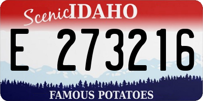 ID license plate E273216