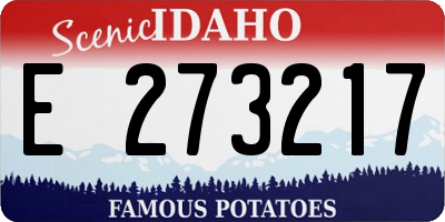 ID license plate E273217