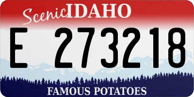 ID license plate E273218