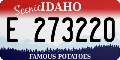 ID license plate E273220