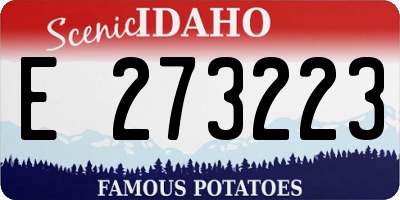 ID license plate E273223