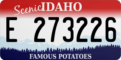 ID license plate E273226
