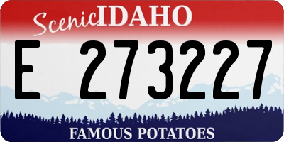 ID license plate E273227