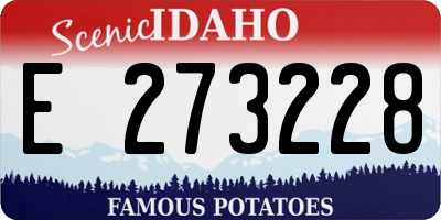 ID license plate E273228