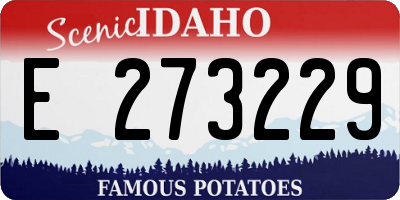 ID license plate E273229