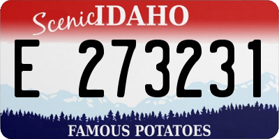 ID license plate E273231