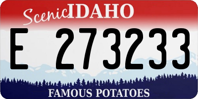 ID license plate E273233