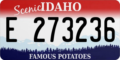 ID license plate E273236