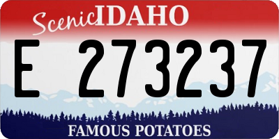 ID license plate E273237