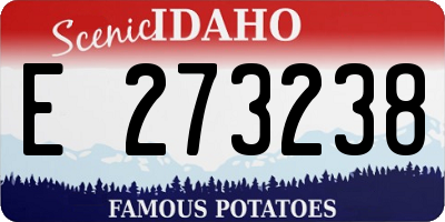 ID license plate E273238