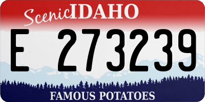 ID license plate E273239