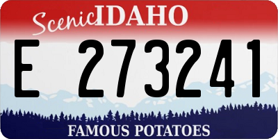 ID license plate E273241