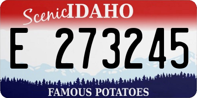 ID license plate E273245
