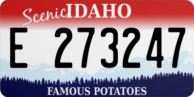 ID license plate E273247