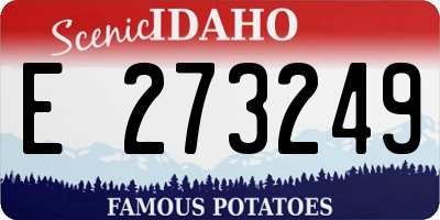 ID license plate E273249