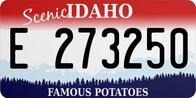 ID license plate E273250