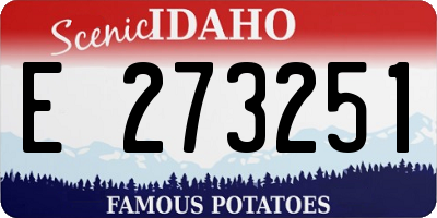 ID license plate E273251