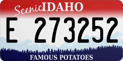 ID license plate E273252