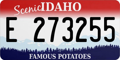 ID license plate E273255