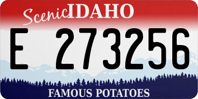 ID license plate E273256