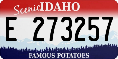 ID license plate E273257