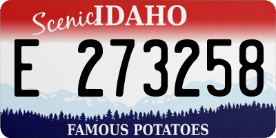 ID license plate E273258