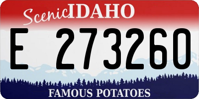 ID license plate E273260
