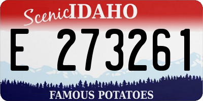 ID license plate E273261