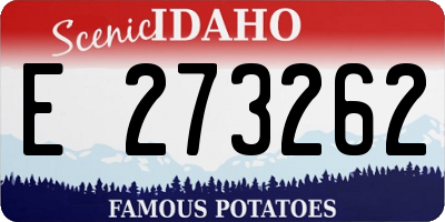 ID license plate E273262